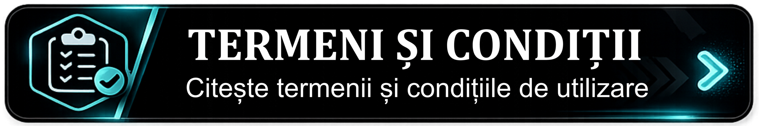 01. Termeni si Conditii